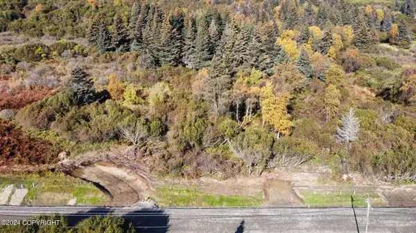 Homer, AK 99603,Lot 3 W Fairview AVE