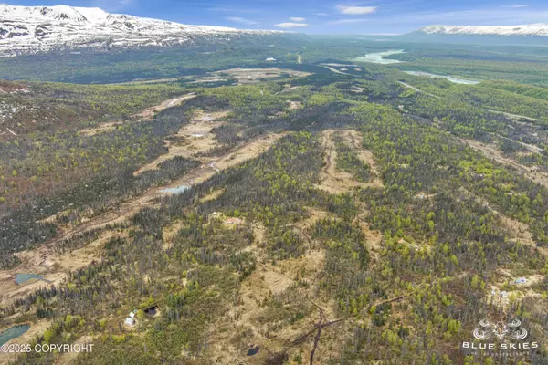 Talkeetna, AK 99676,0 E Round Top RD