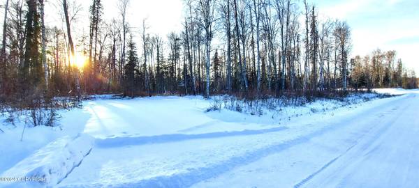 L15 E Fireweed Honey RD, Talkeetna, AK 99676