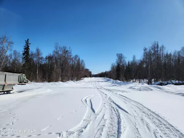 Willow, AK 99688,23002 N Gerald CIR