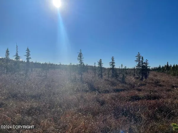 67280 St. John RD, Ninilchik, AK 99556