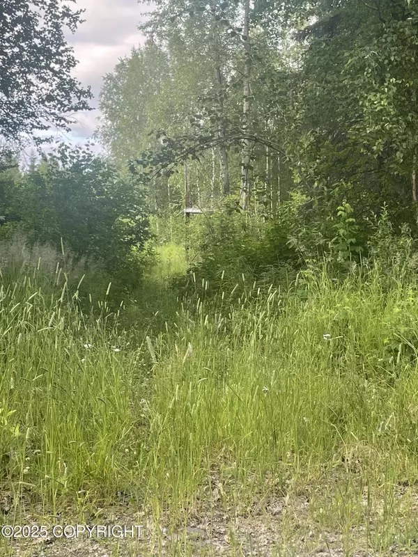 Willow, AK 99688,20657 W River Aire DR