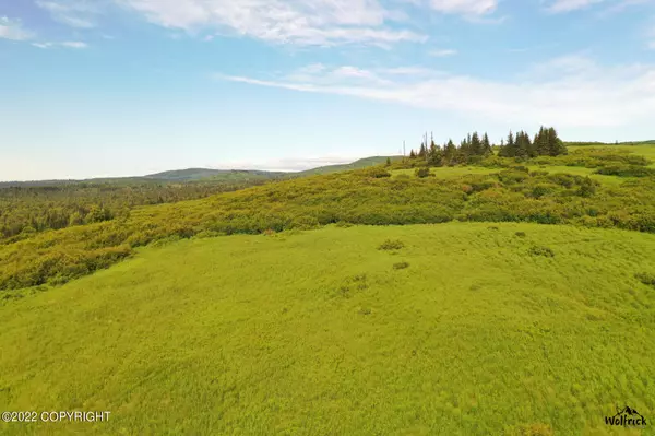 Nikolaevsk, AK 99556,E2 Alaskan Wildwood Ranch(r)