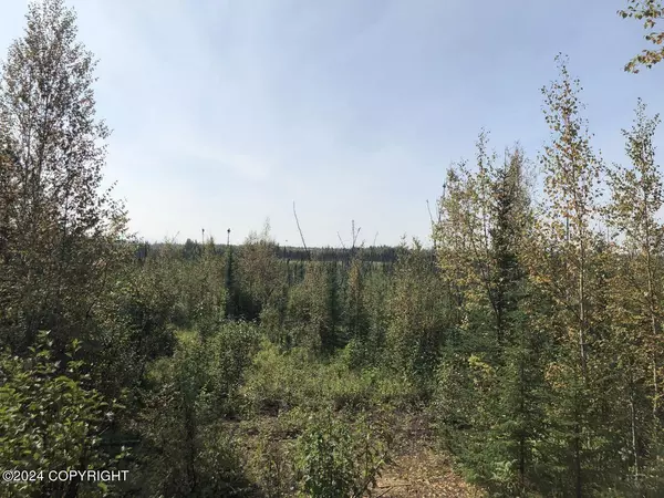 B004 No Road Utility Easement, Big Lake, AK 99652