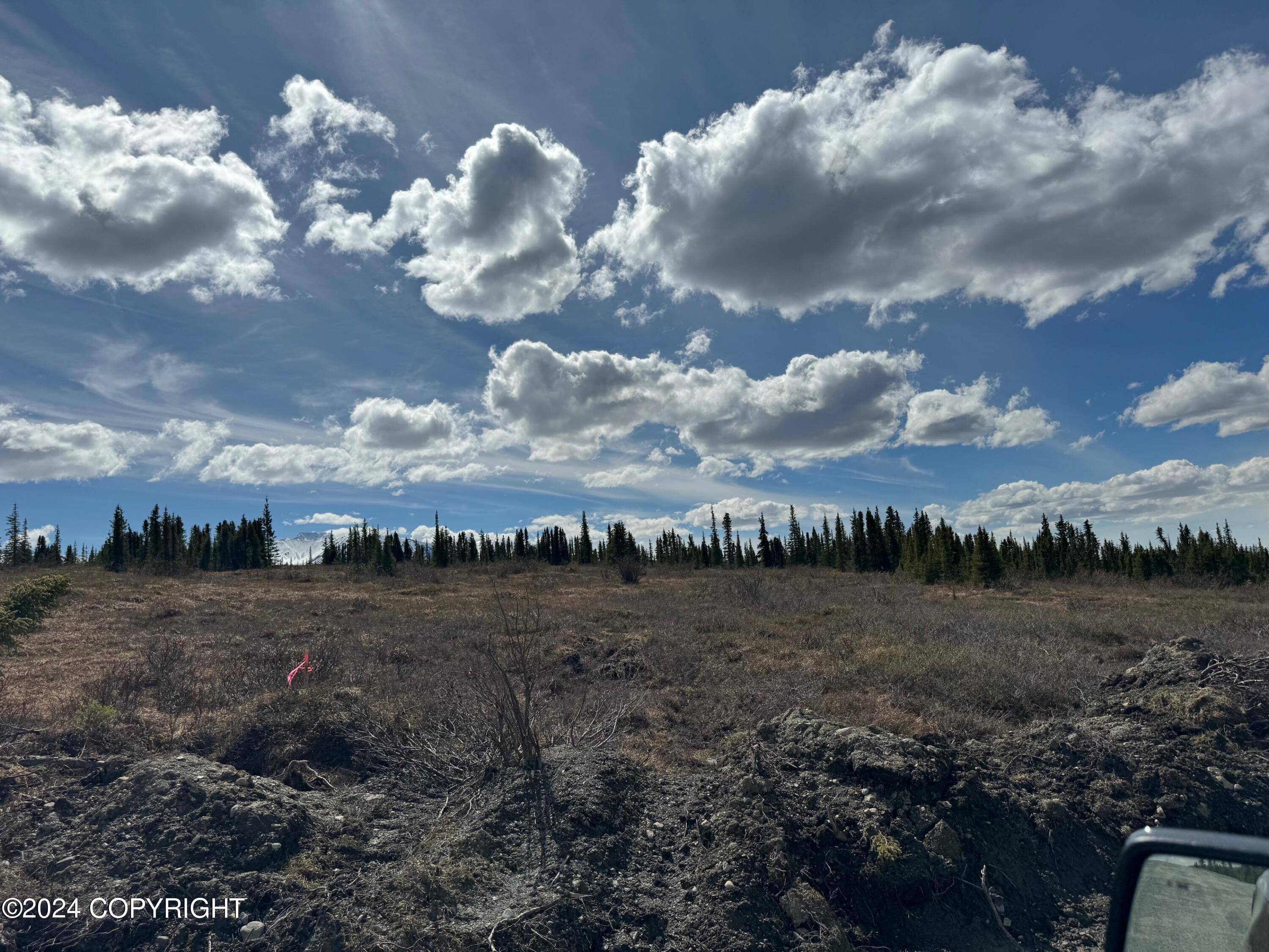 Cantwell, AK 99729,L17 Wonderstruck AVE