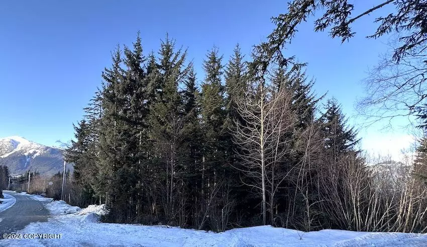 NHN Matrix DR, Haines, AK 99827