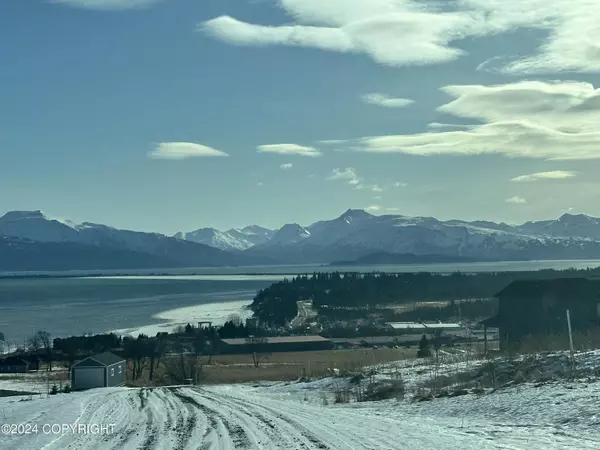 Homer, AK 99603,41151 Wandering ST