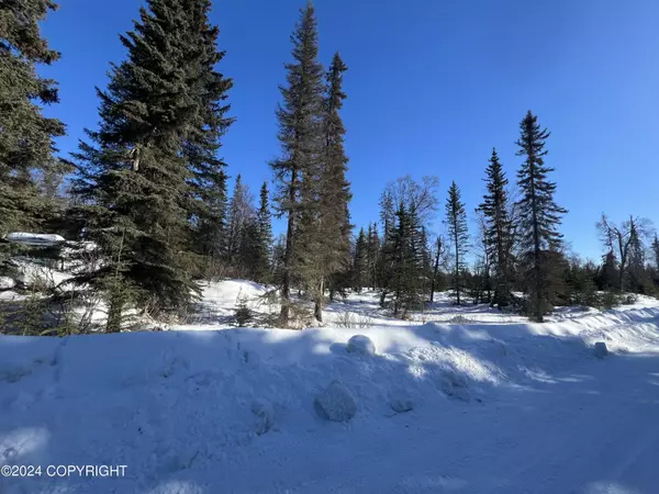 Nikiski/north Kenai, AK 99635,L15 B2 Arctic CIR