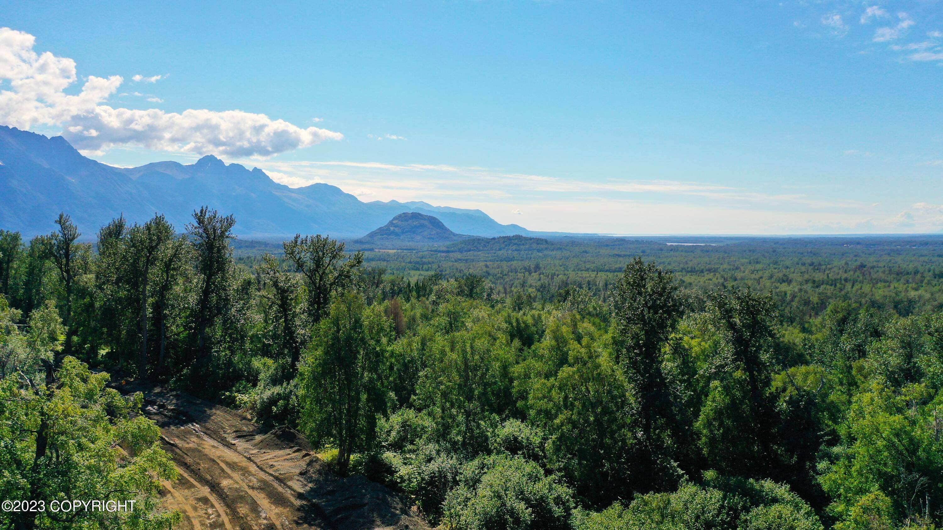 443 N Hale CIR, Palmer, AK 99645