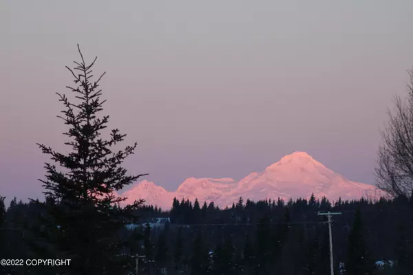 Anchor Point, AK 99556,26415 Mocha LN