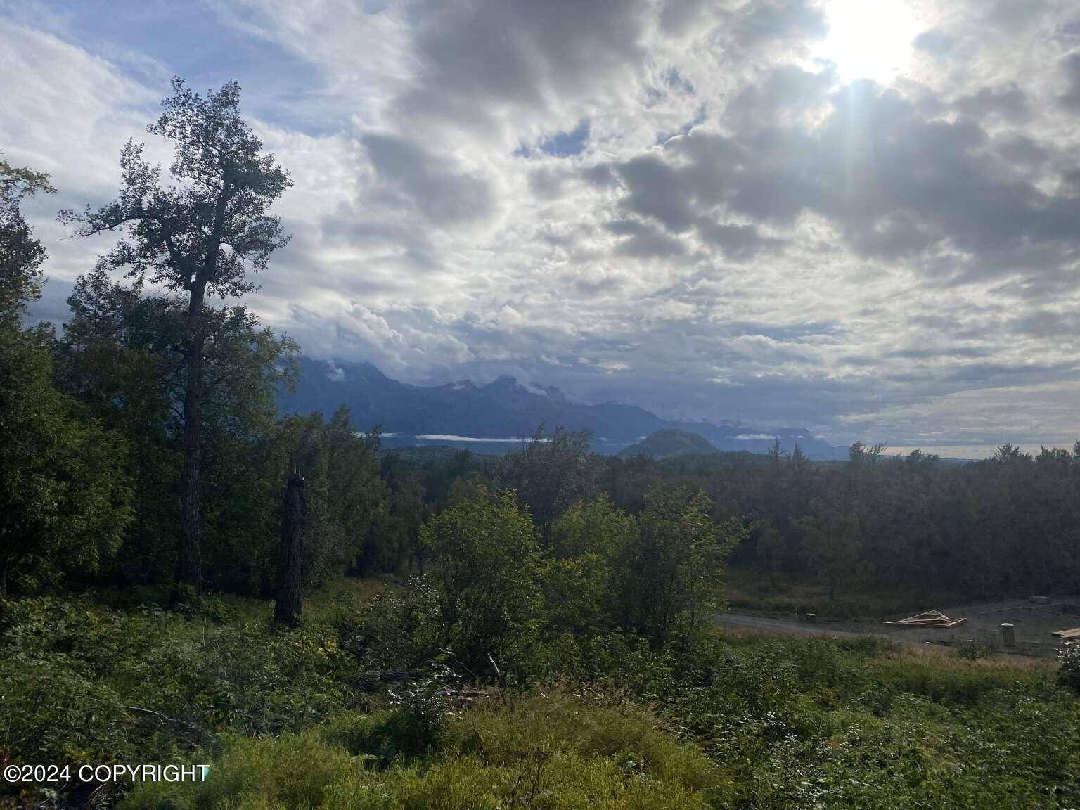 Palmer, AK 99645,755 N Yeti ST