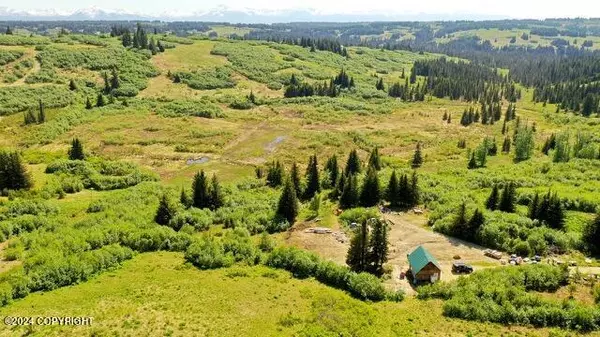 61245 Ohlson Mountain RD, Homer, AK 99603