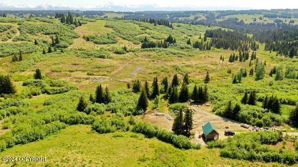 61245 Ohlson Mountain RD, Homer, AK 99603