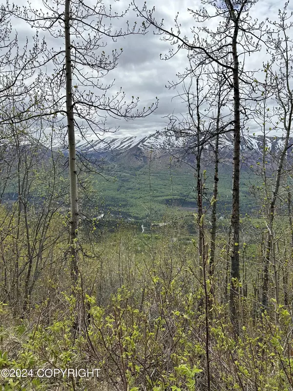 Eagle River, AK 99577,L5 Barclay RD