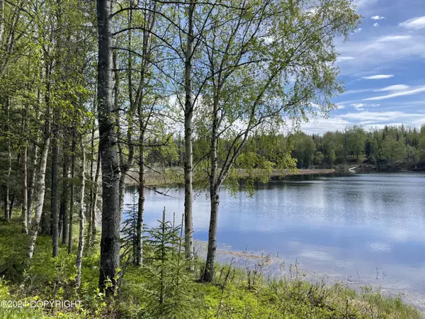 Nikiski/north Kenai, AK 99611,48438 Lake Meadow LN