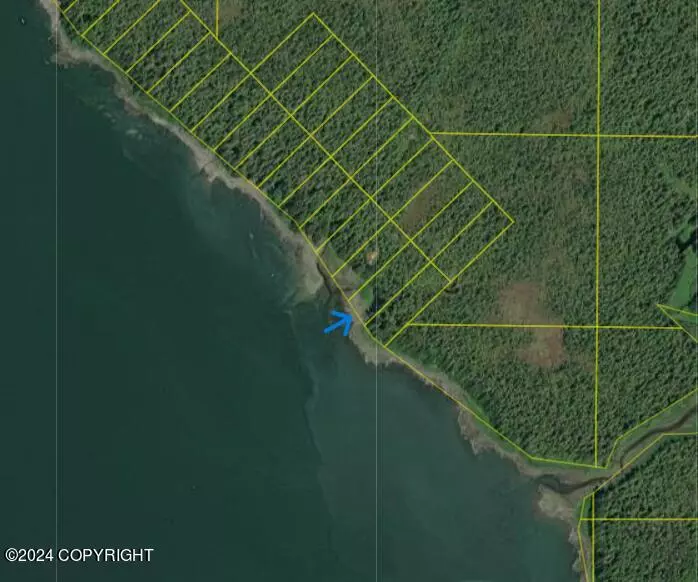 Lot 24 Duncan Canal, Petersburg, AK 99833