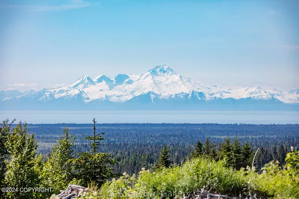 Anchor Point, AK 99556,32926 Coyote Run RD