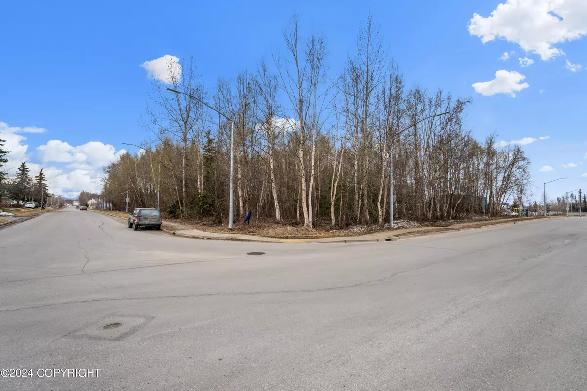Anchorage, AK 99507,7200 Meadow ST