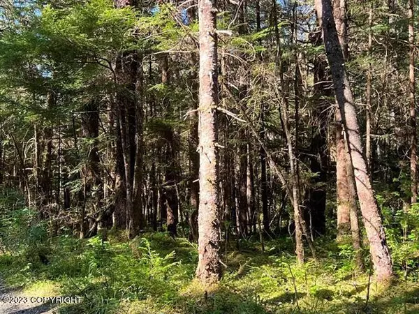 Remote, AK 99826,Lot 3 Block D Excursion Inlet South