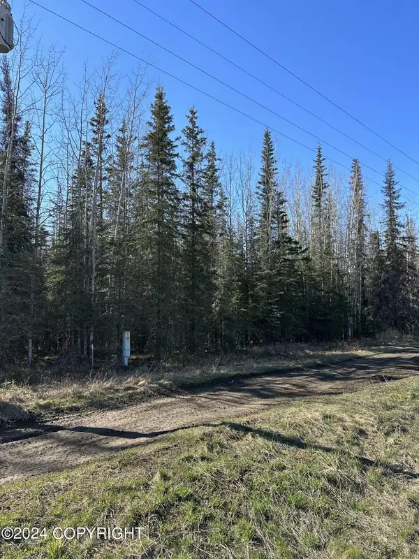 Soldotna, AK 99669,Lot 2 Goodrich ST