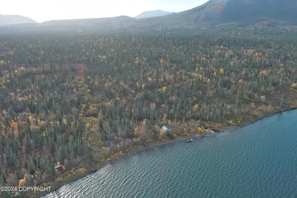 Aleknagik, AK 99555,L4B5 Bear Tracks RD