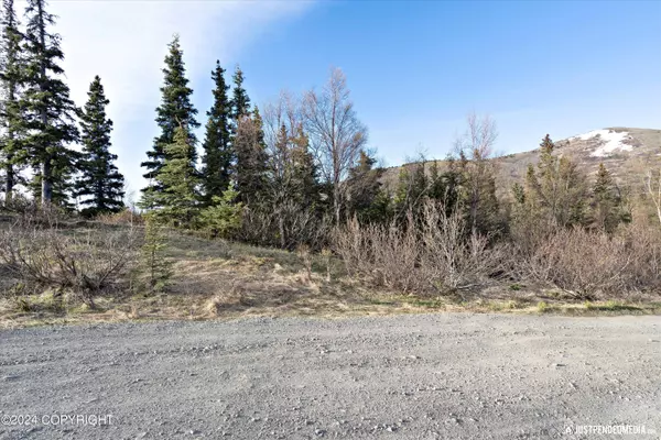 Anchorage, AK 99516,L33 B2 Finland ST