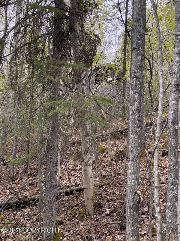 Wasilla, AK 99623,1000 N Rainbow Park DR