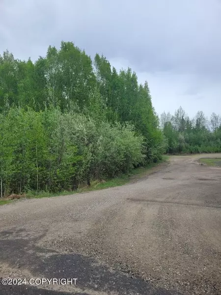 NHN Badger Road, North Pole, AK 99705