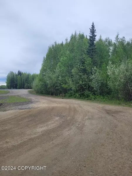 NHN Badger Badger Road, North Pole, AK 99705