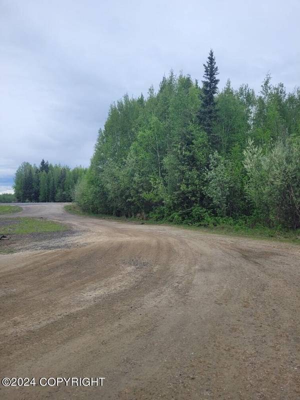 NHN Badger Road, North Pole, AK 99705