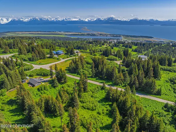 228 Tulin Terrace BLVD, Homer, AK 99603