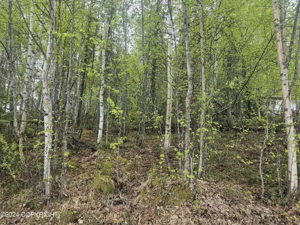 Wasilla, AK 99623,8960 W Emil DR