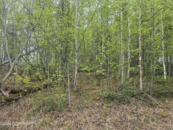 Wasilla, AK 99623,8960 W Emil DR