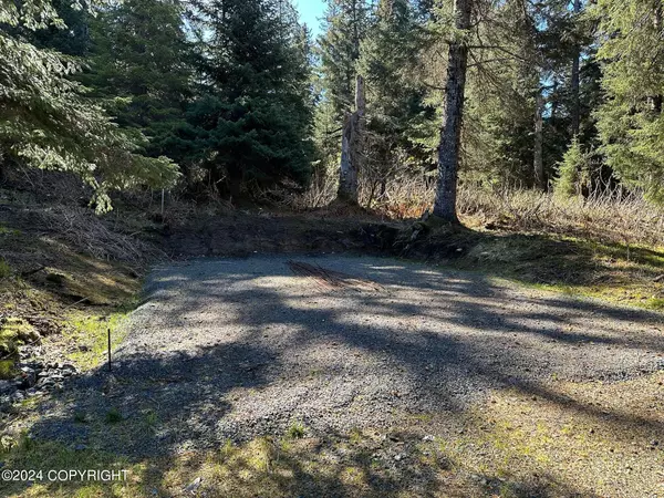 Seldovia, AK 99663,L5 B8 Nutbeem RD