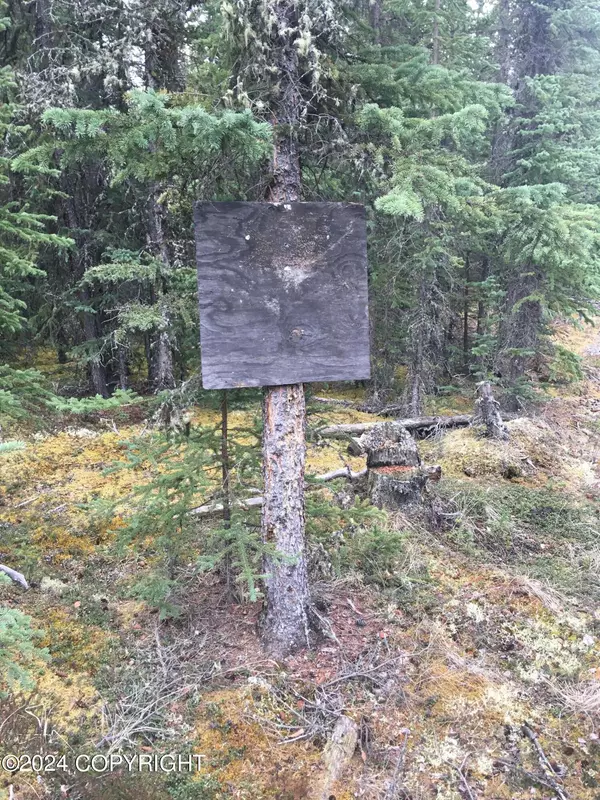 Tok, AK 99780,L2B3 Pringle Road