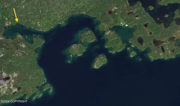 Pedro Bay, AK 99647,L4 Tantamount Bay