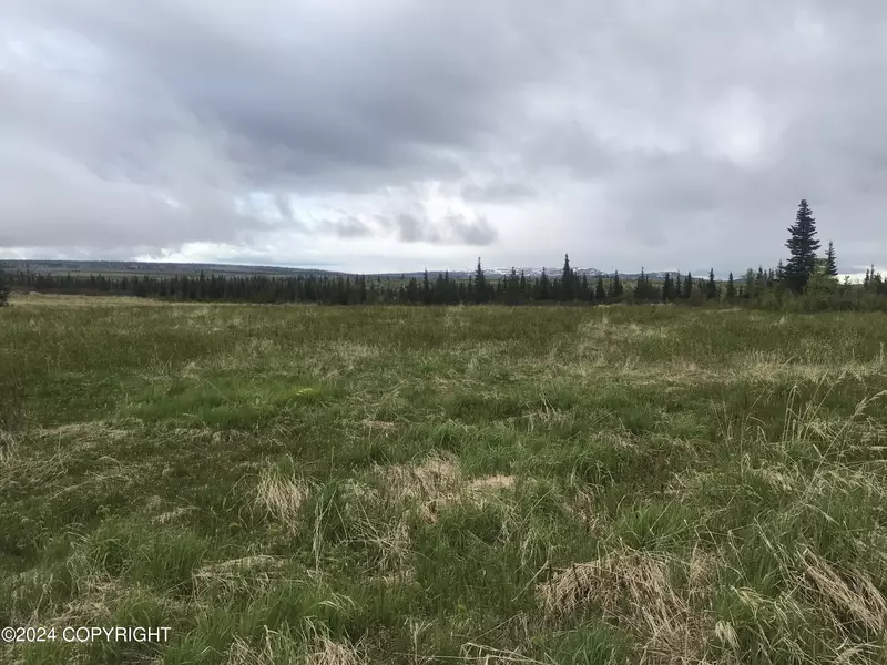 53251 Oil Well RD, Ninilchik, AK 99639