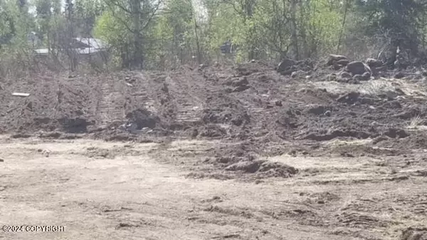 Delta Junction, AK 99737,1769 Sandra ST