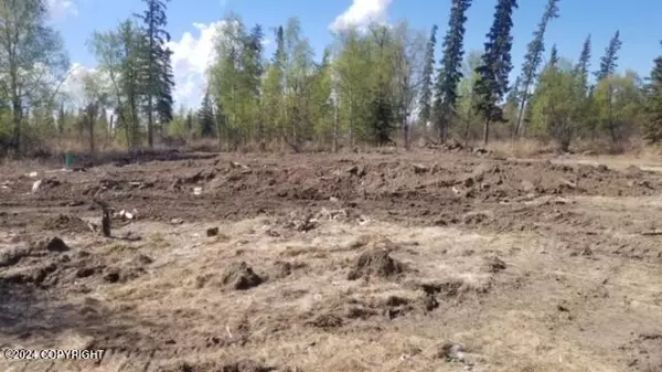 Delta Junction, AK 99737,1769 Sandra ST