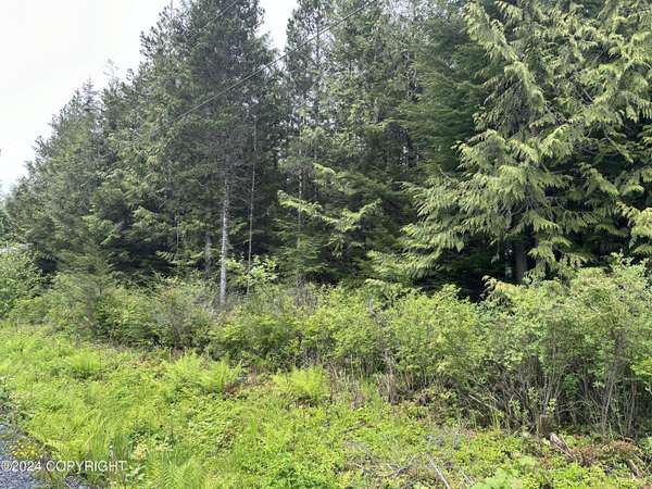 616 Council DR, Wrangell, AK 99929