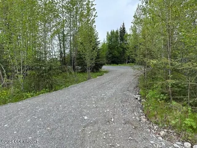 Anchor Point, AK 99556,34589 N Fork RD