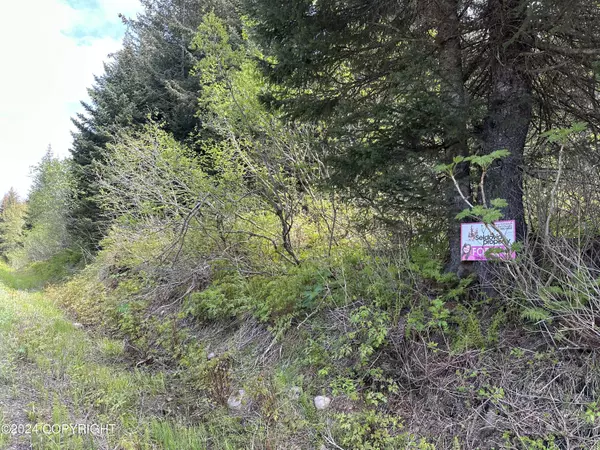 Seldovia, AK 99663,L31 B6 Jakolof Bay RD