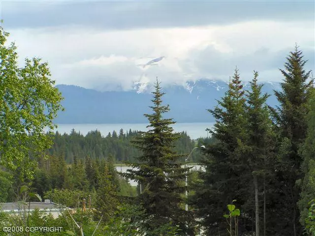 4430 E Hill RD, Homer, AK 99603