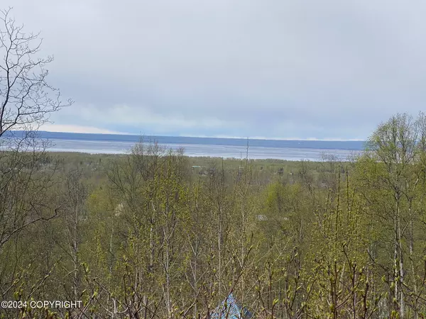 Chugiak, AK 99567,L9 B3 Country View DR