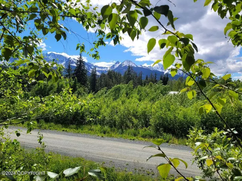 Lot 31 Chestnut DR, Haines, AK 99827