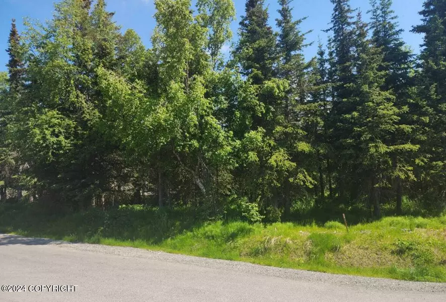 Lot 7 DePalatis CIR, Anchorage, AK 99516