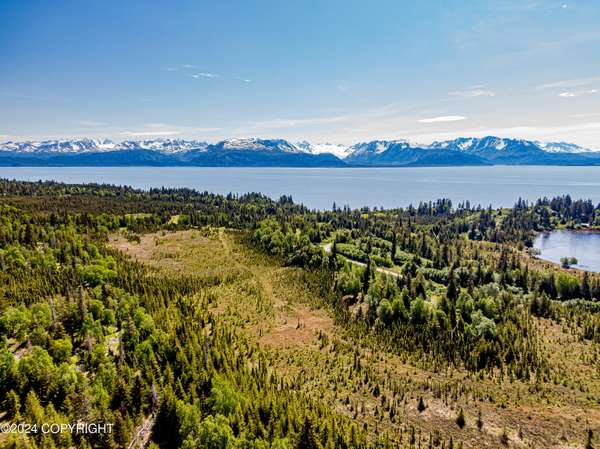 39807 Lenox ST, Homer, AK 99603