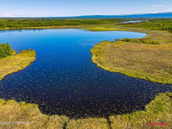 Big Lake, AK 99652,15675 W Loon Cove AVE