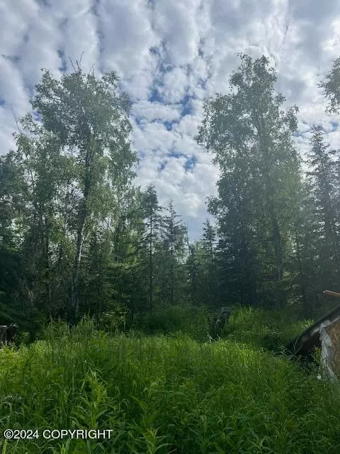 Wasilla, AK 99623,3774 W Gentle Breeze DR