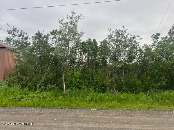 NHN C ST, Dillingham, AK 99576